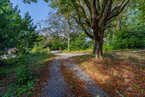 Photo 36- click for photo gallery